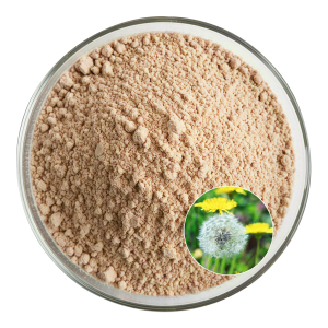 Dandelion Flavonoids 15%