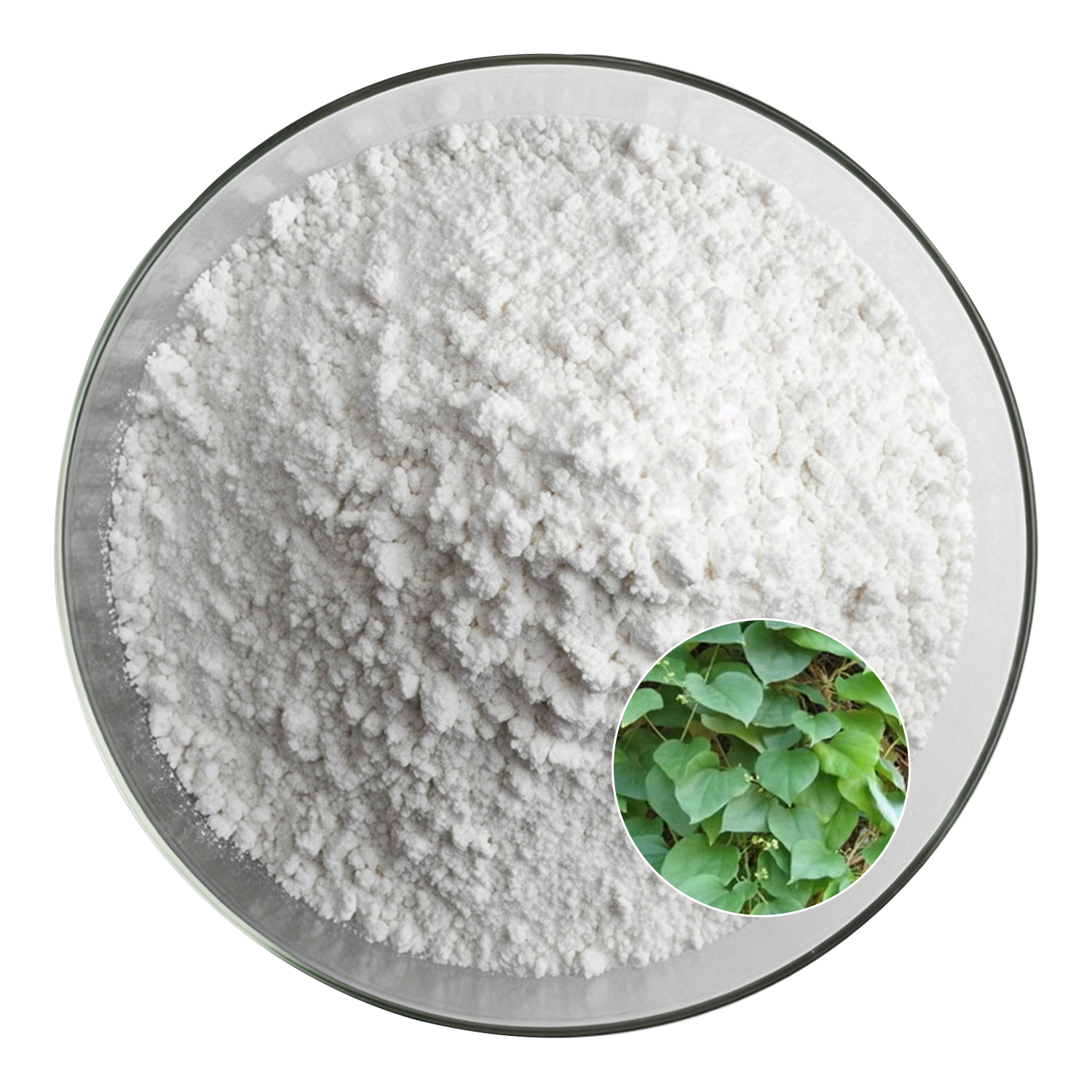 Sinomenine Hydrochloride